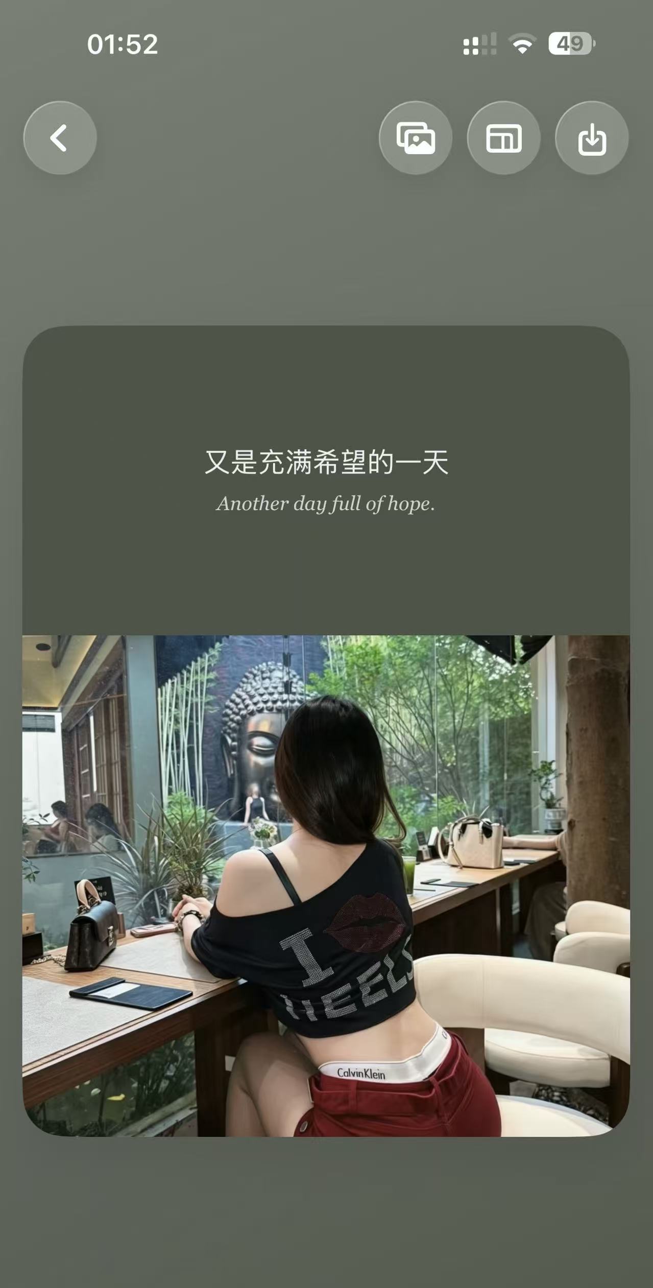 展示图5